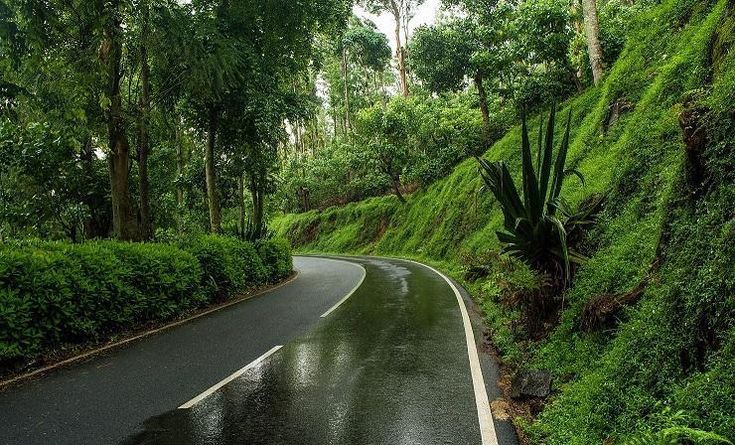 Scenic drive to Yercaud, featuring winding roads, lush greenery, and breathtaking hill views